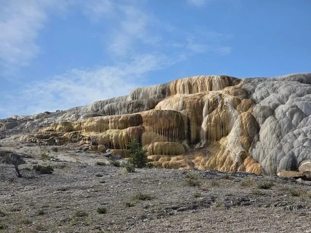 Rounded folds of white and gold travertine catch the light at Mammoth Hot Springs.