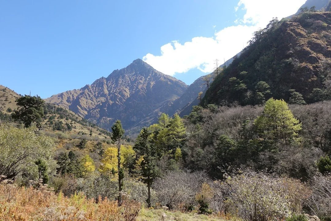 Rugged ridges rise above patches of golden trees and low scrub.