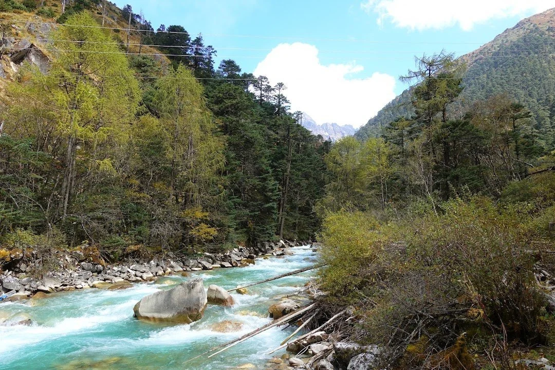 The Pa Chhu rushes past rounded boulders and fallen trunks beneath autumn-coloured trees.