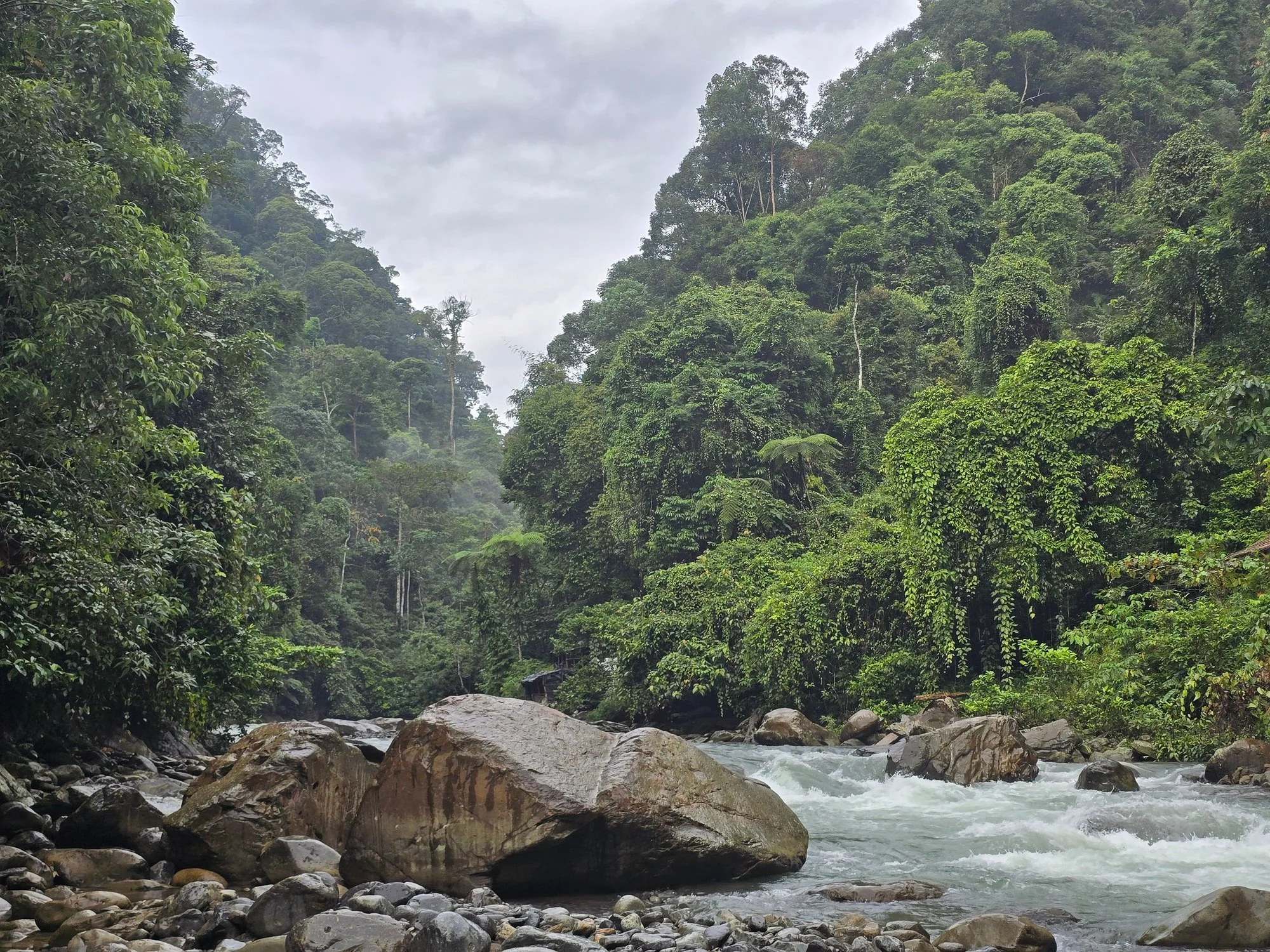 Fast water threads between boulders beneath steep walls of rainforest near Bukit Lawang.