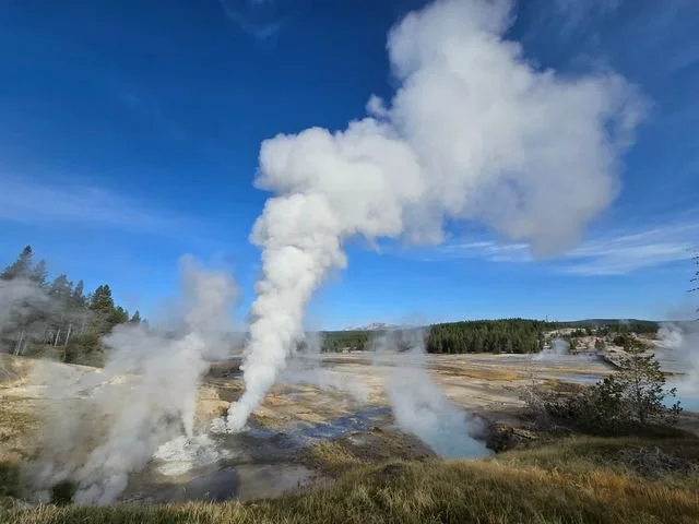 Columns of steam rise from mineral-stained ground in Norris Geyser Basin.