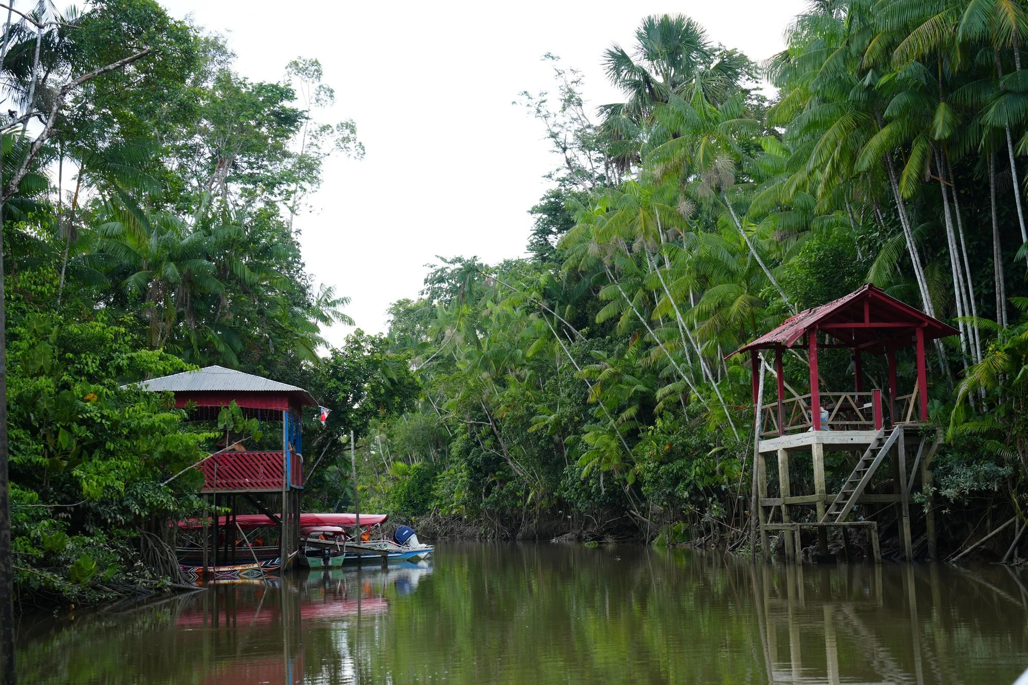 Boats and wooden landings line a palm-fringed channel near Belém. Here, the water is a route between homes and the wider river.