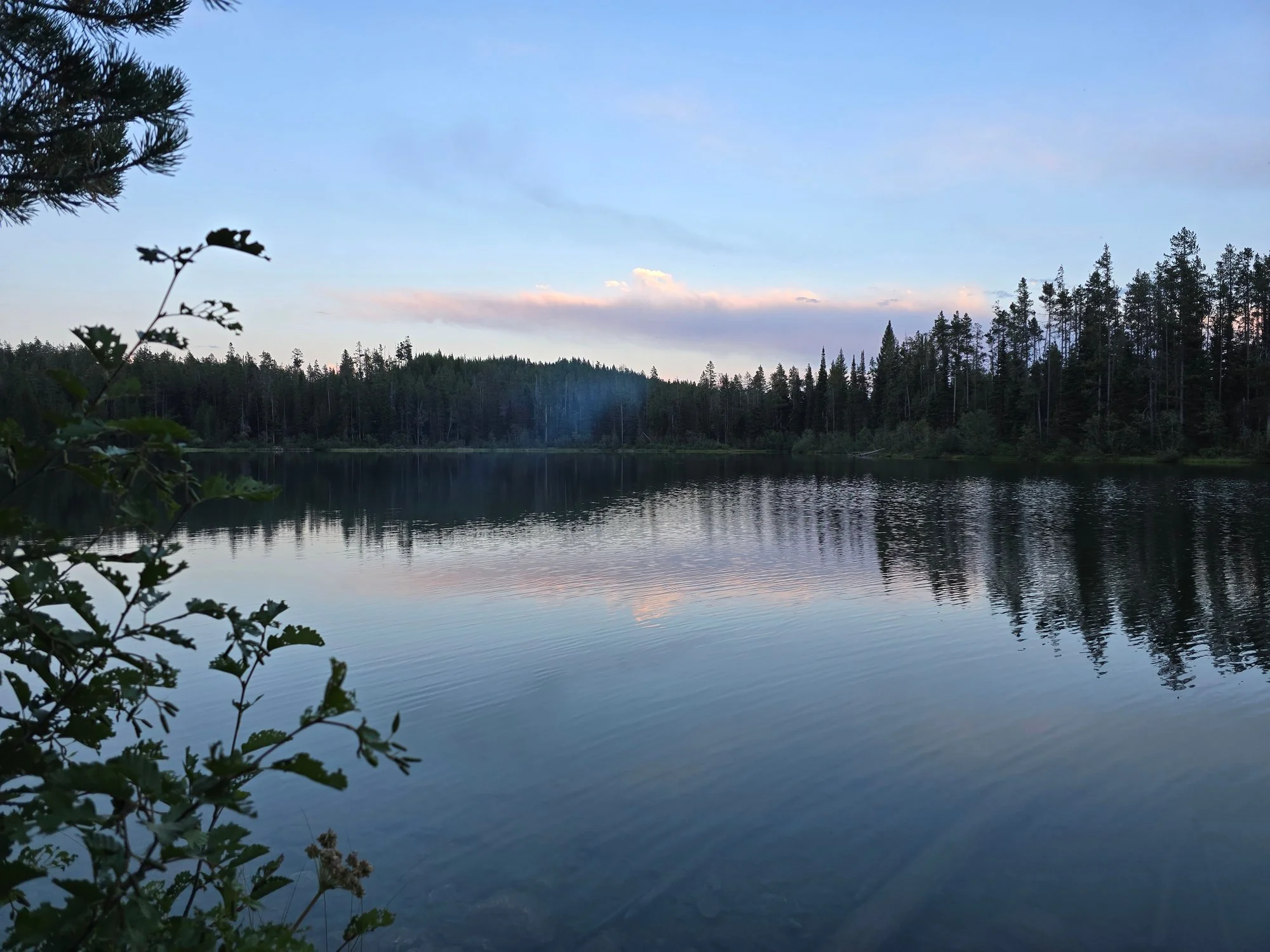 Pink clouds and a dark forest edge reflect in the quiet water at dusk.