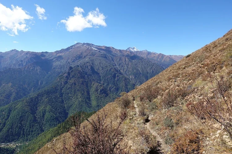 The narrow trail crosses an open slope above a valley densely covered in forest.