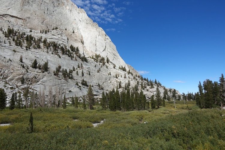 Low shrubs and conifers fill the floor of a basin beneath a sweeping pale granite cliff.