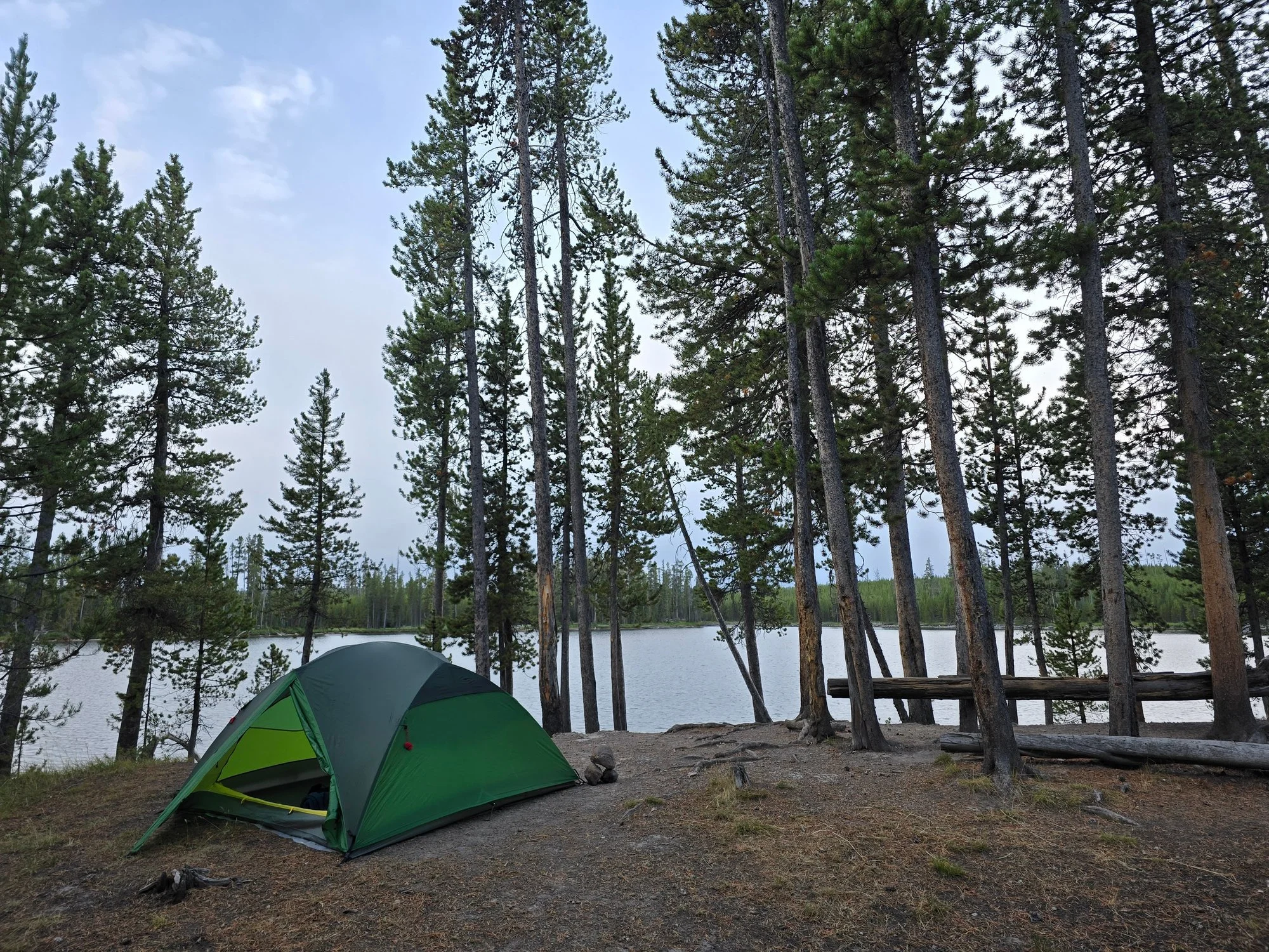 A green tent stands among conifers beside a forest-lined lake.