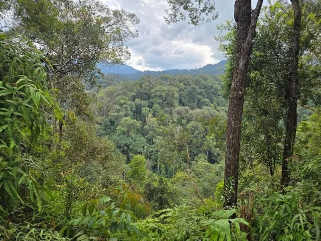 Layers of rainforest fill the valley, with distant ridges beneath a cloudy sky.