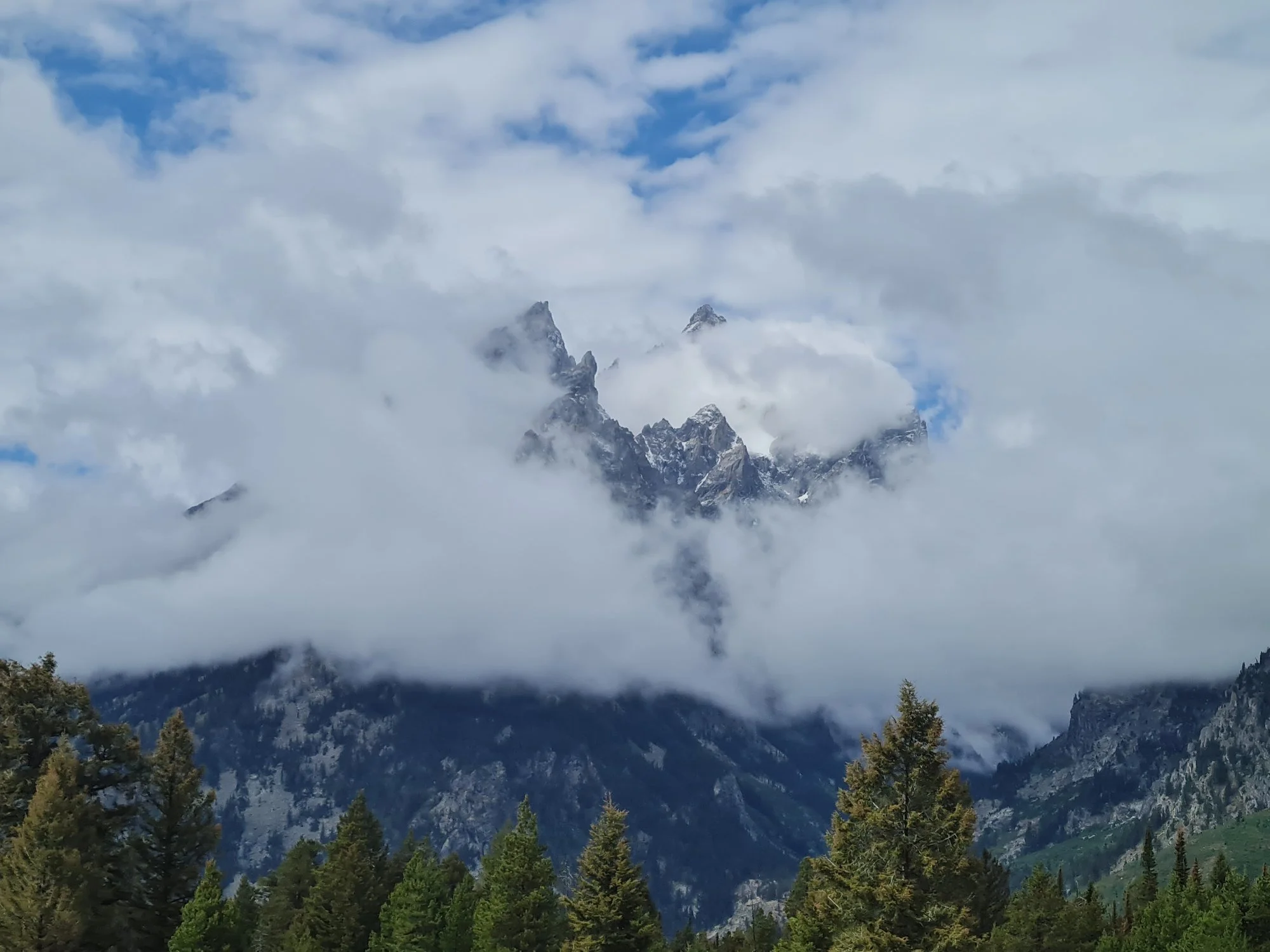 Jagged Teton spires emerge through thick cloud above the forest.