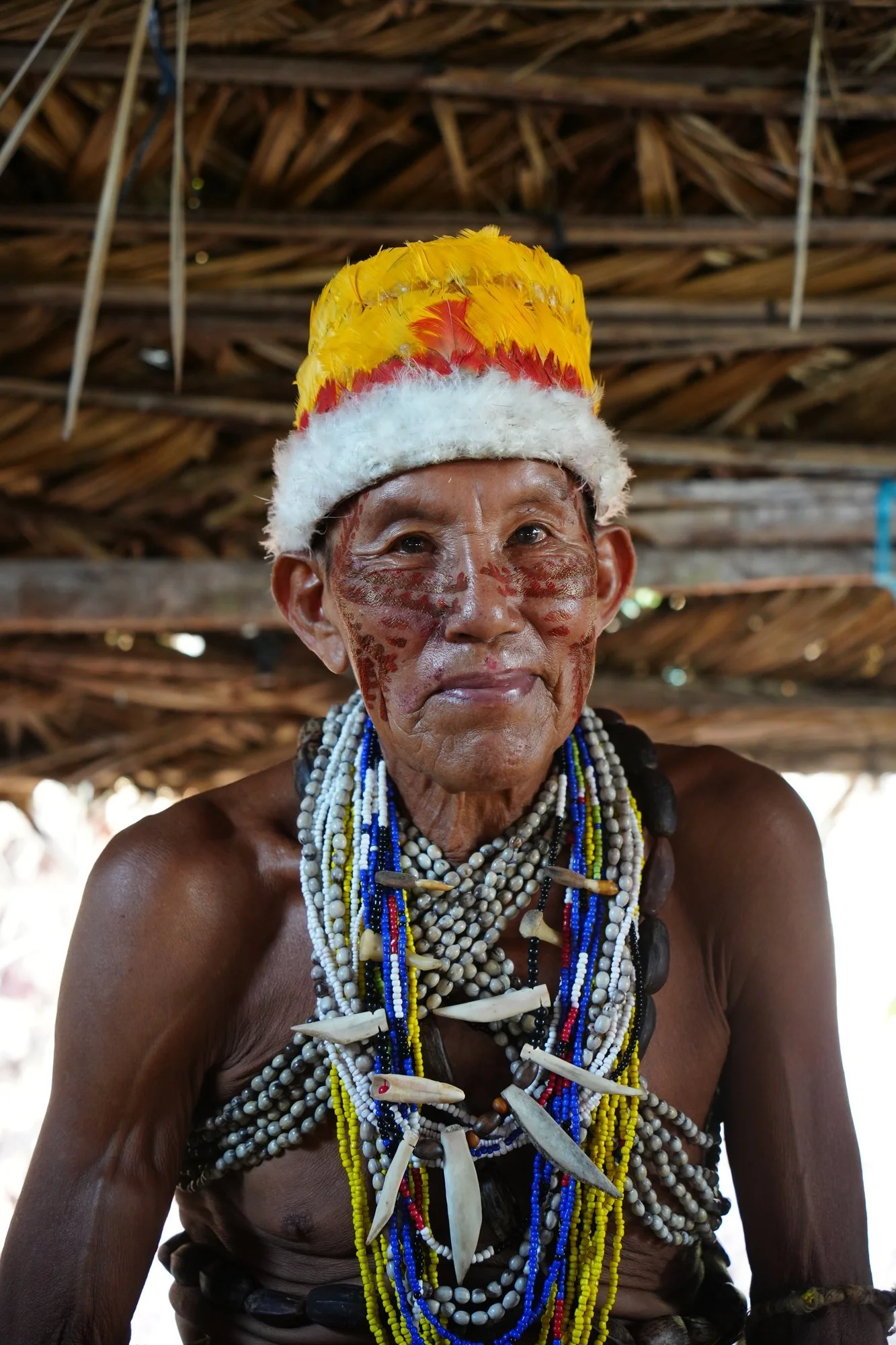 A member of the Tuyuka community poses in a feather headdress, layered bead necklaces and face paint beside the Rio Negro.
