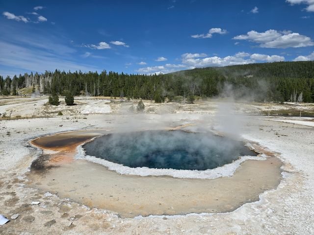 Steam drifts over the deep blue water and white sinter rim of Crested Pool.
