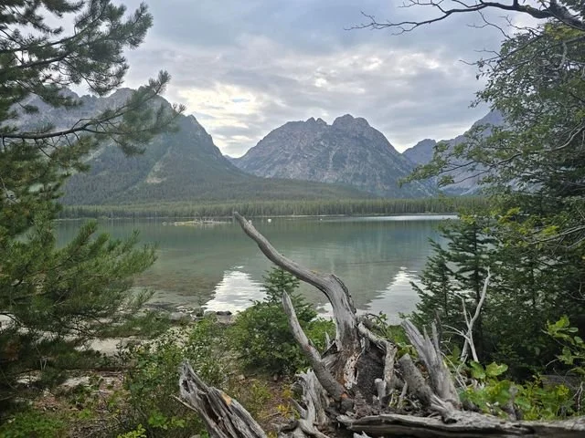 Pale, weathered wood frames clear lake water and the Teton peaks beyond.