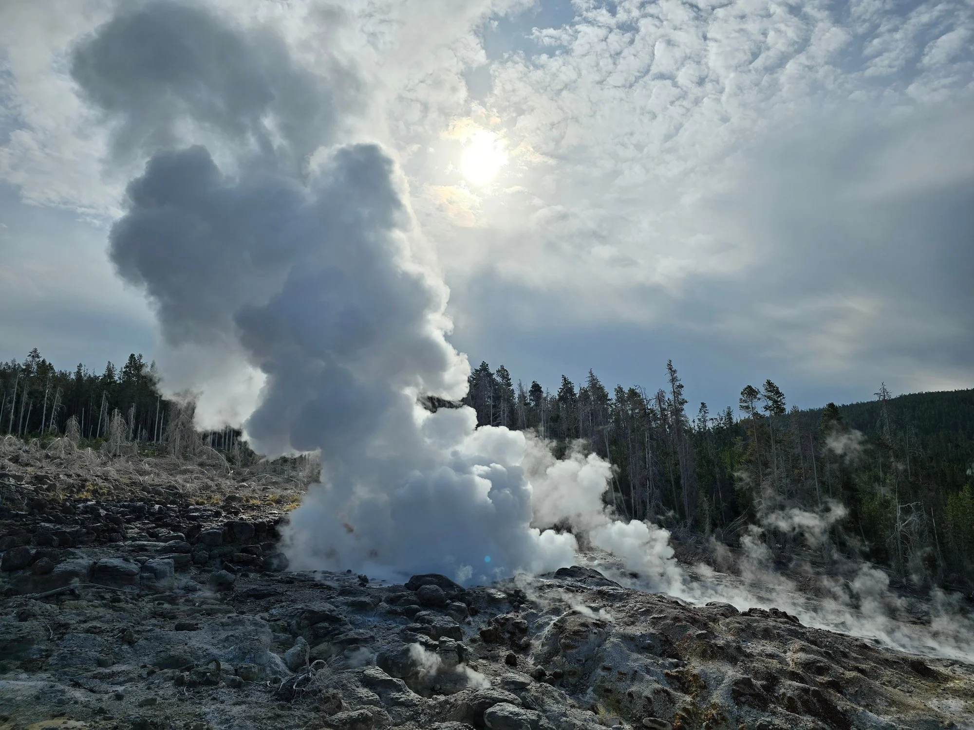 Steam billows from Steamboat Geyser between stony vents and a forested slope.