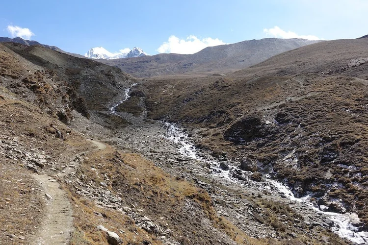 A narrow trail follows a bright mountain stream through the open slopes above Tshopu.