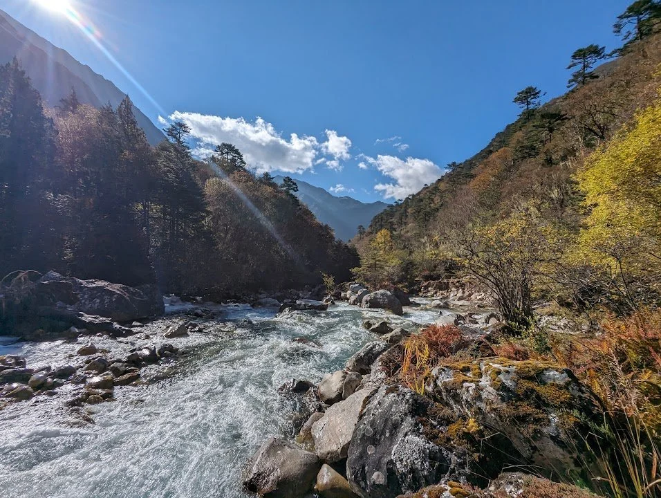 Sunlight falls across the Pa Chhu and the yellowing vegetation along its banks.