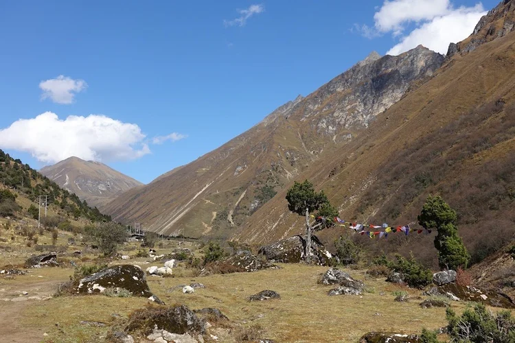 A string of prayer flags stretches between two small trees above the open valley.