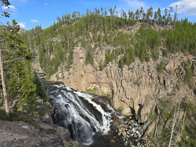 The Gibbon River fans over dark rock beneath a steep, wooded cliff.