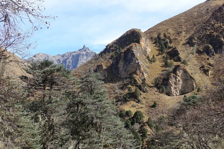 Trees fill the folds beneath steep, sunlit rock faces on the way towards Tongphushong.