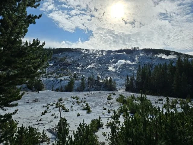 Scattered fumaroles send steam across the pale, sparsely wooded slope of Roaring Mountain.