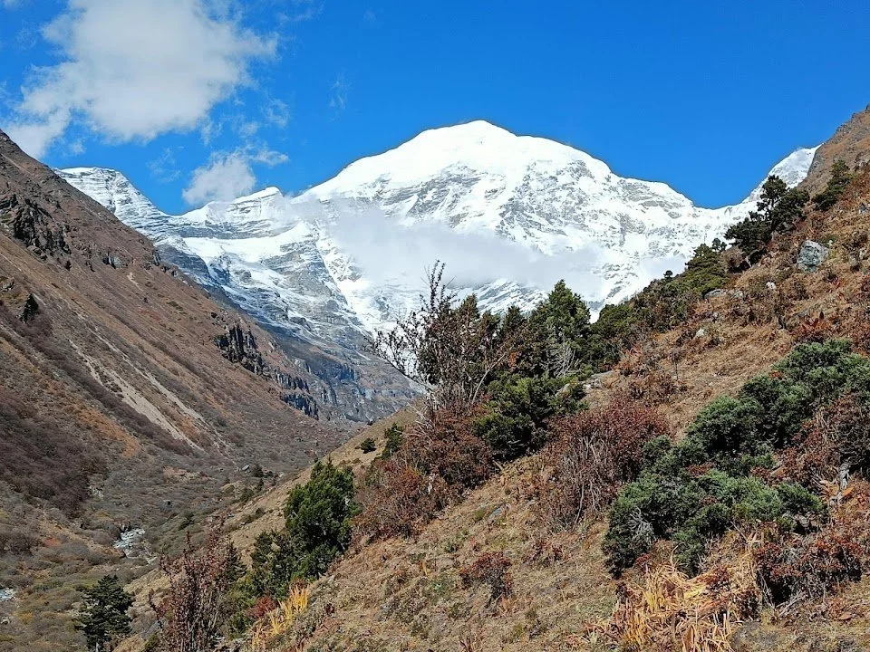 Chomolhari appears above the autumn scrub as the route climbs away from camp.