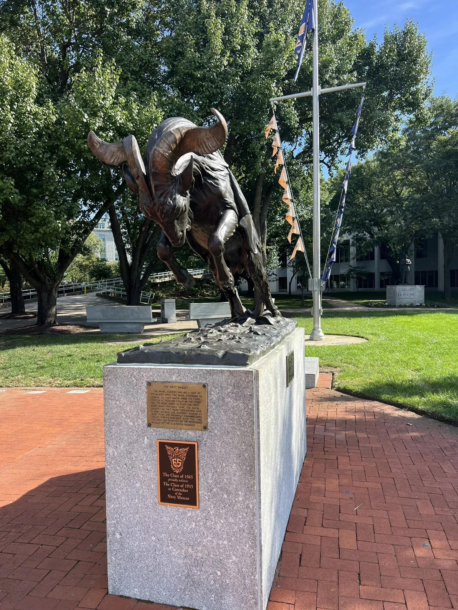Navy Goat mascot
