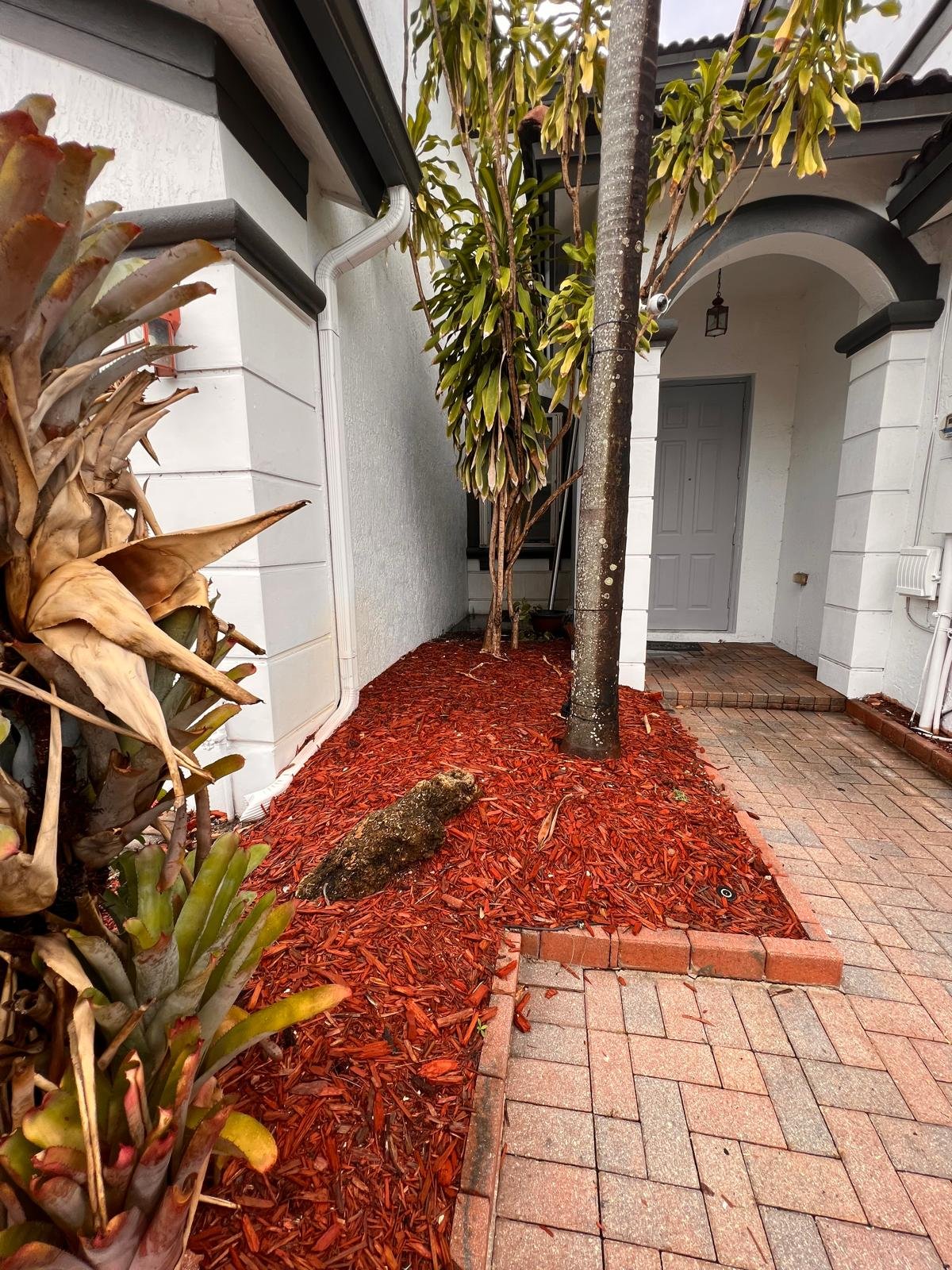 Patio 4