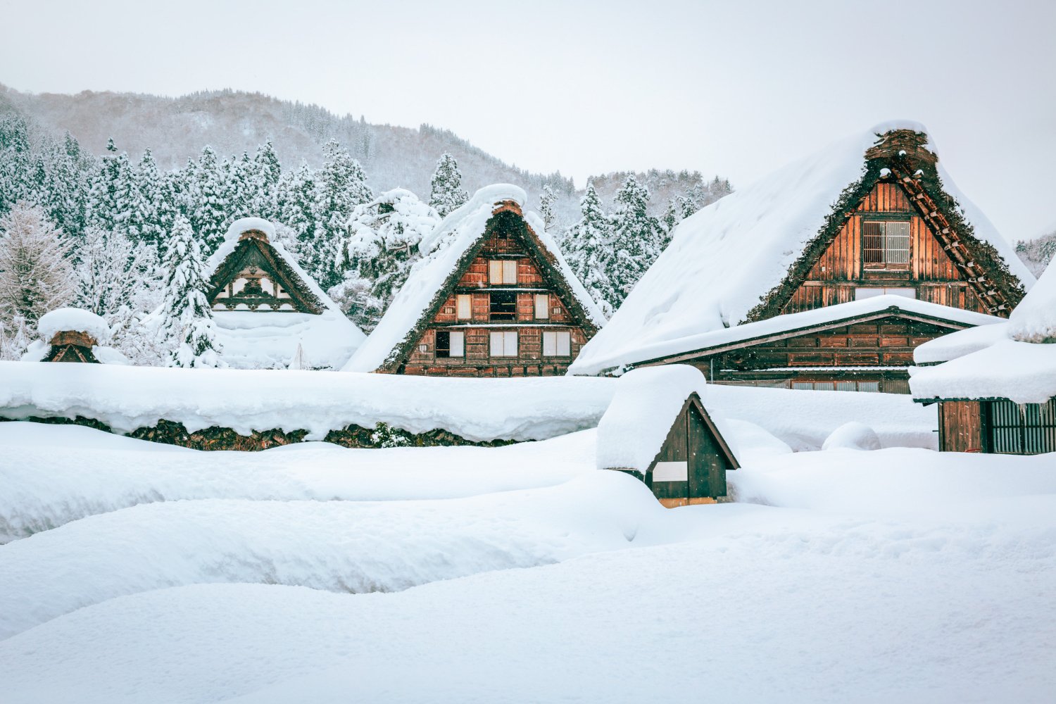 Maisons gasshō-zukuri de Shirakawa-gō sous la neige