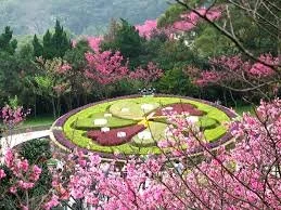 Yangmingshan Flower Clock