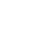 Vice Golf