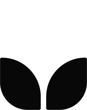 Design Icon