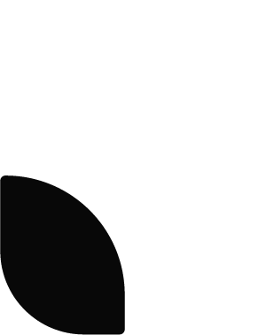 Nettside Icon
