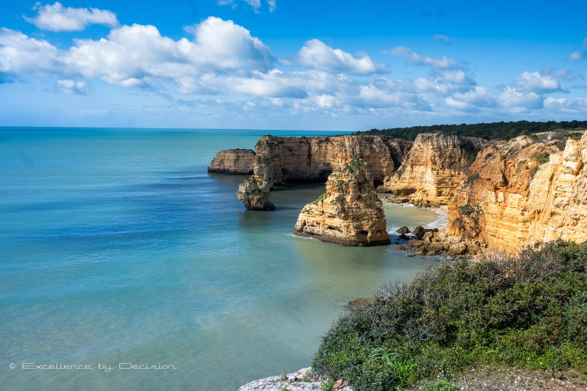 Premium chauffeur service vehicle