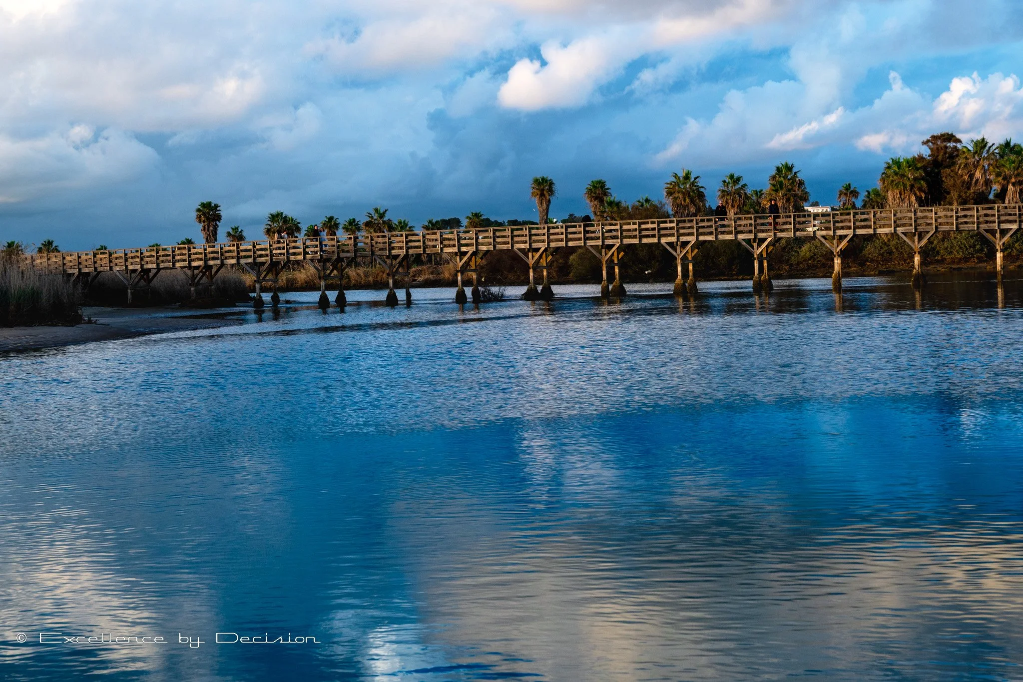 Excellence by Decision luxury chauffeur service