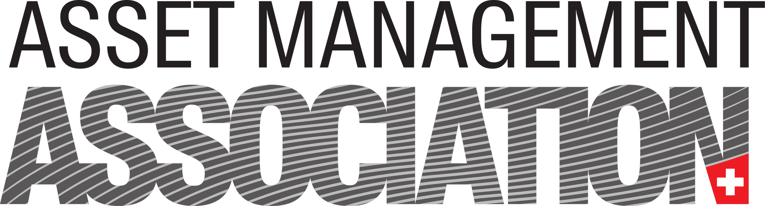Asset Management Association Switzerland (AMAS)