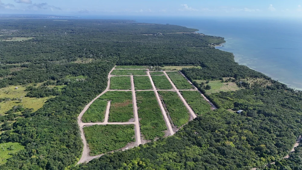 Drone view of cleared lot lines toward the coast