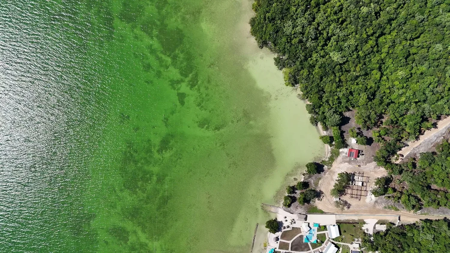 Overhead view of the Corozal Bay shoreline with homes and trees along the water's edge