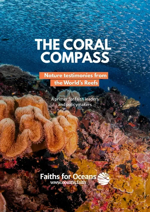 Cover of The Coral Compass.