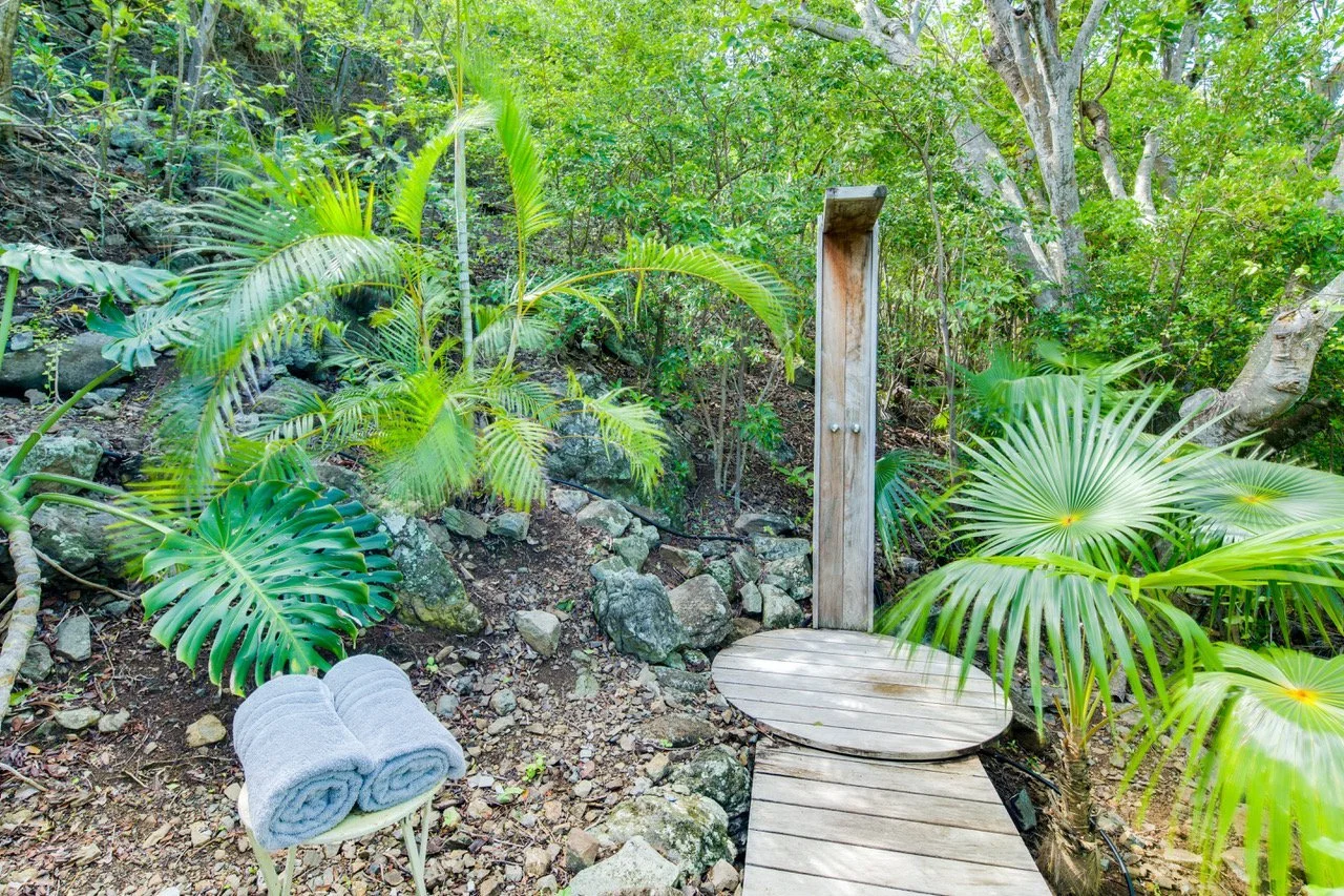 Tropical garden
