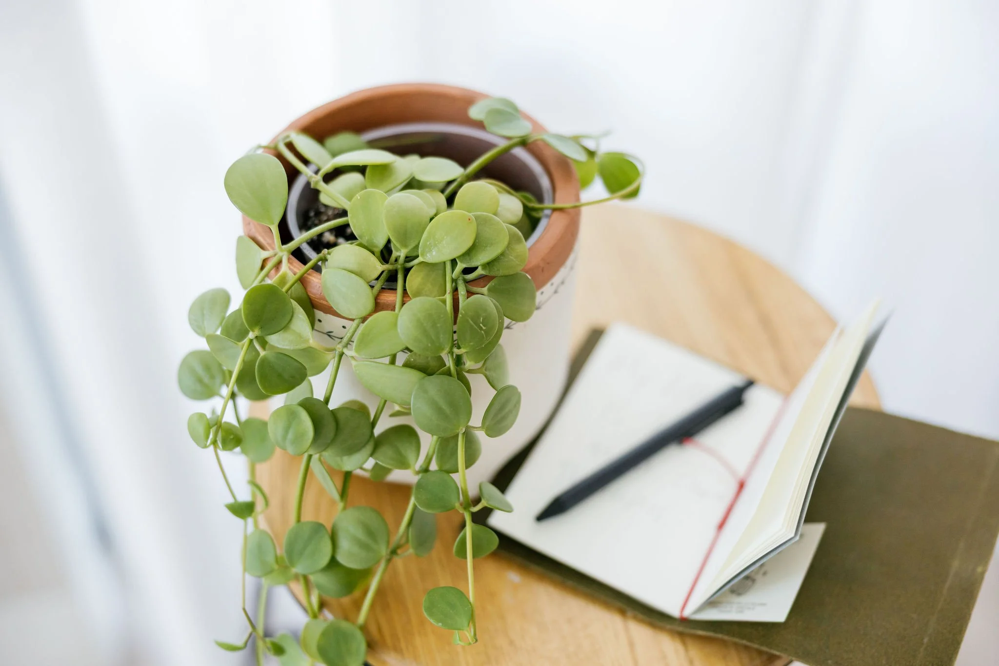 Relationship Health Collective