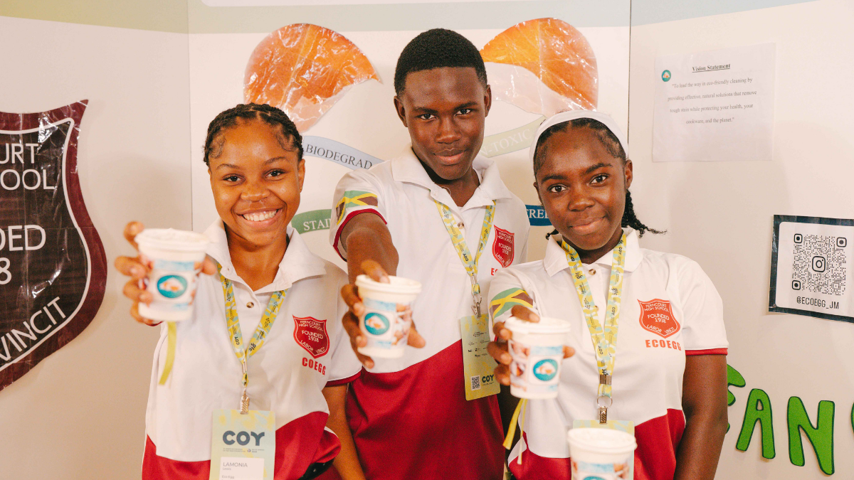 Youth Entrepreneurship and innovation report cover image