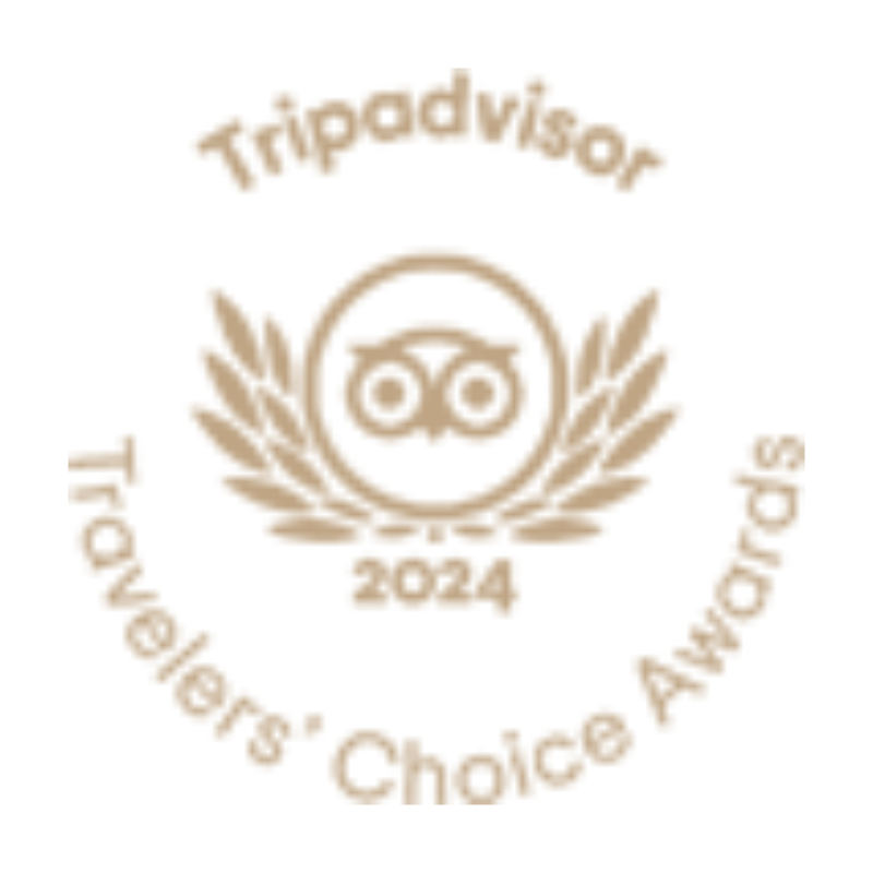 Trip Advisor Award Logo