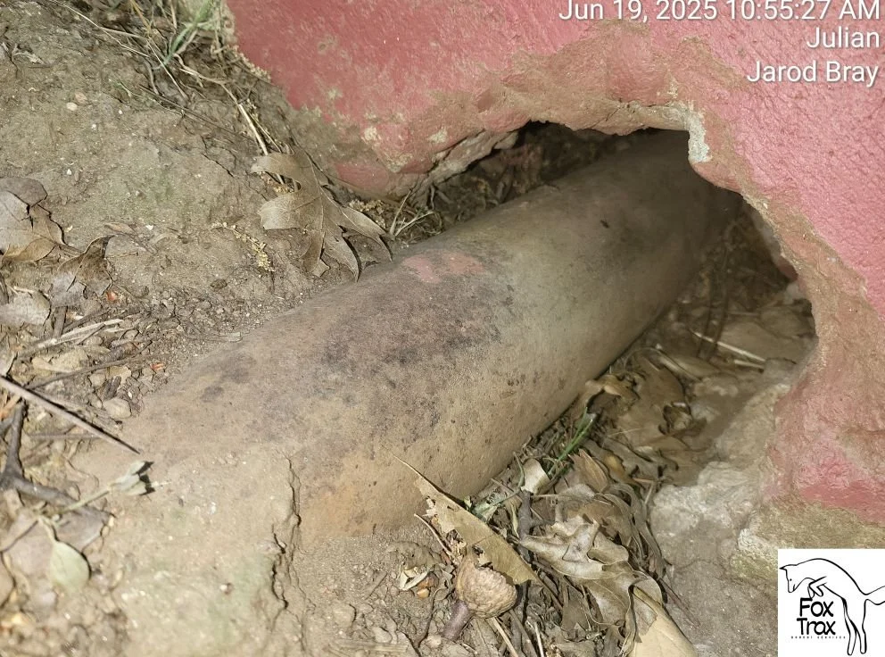 FoxTrax Rodent Services Image