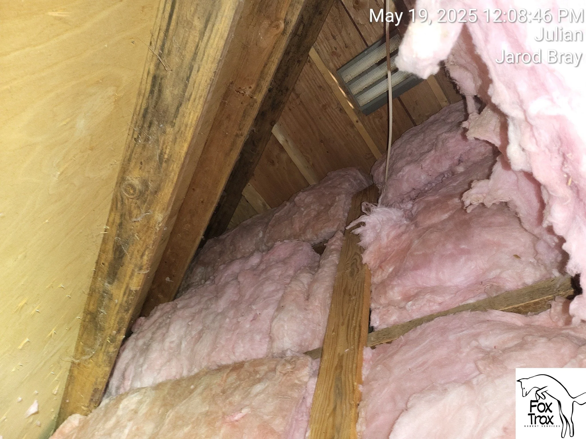 FoxTrax Rodent Services Image 1