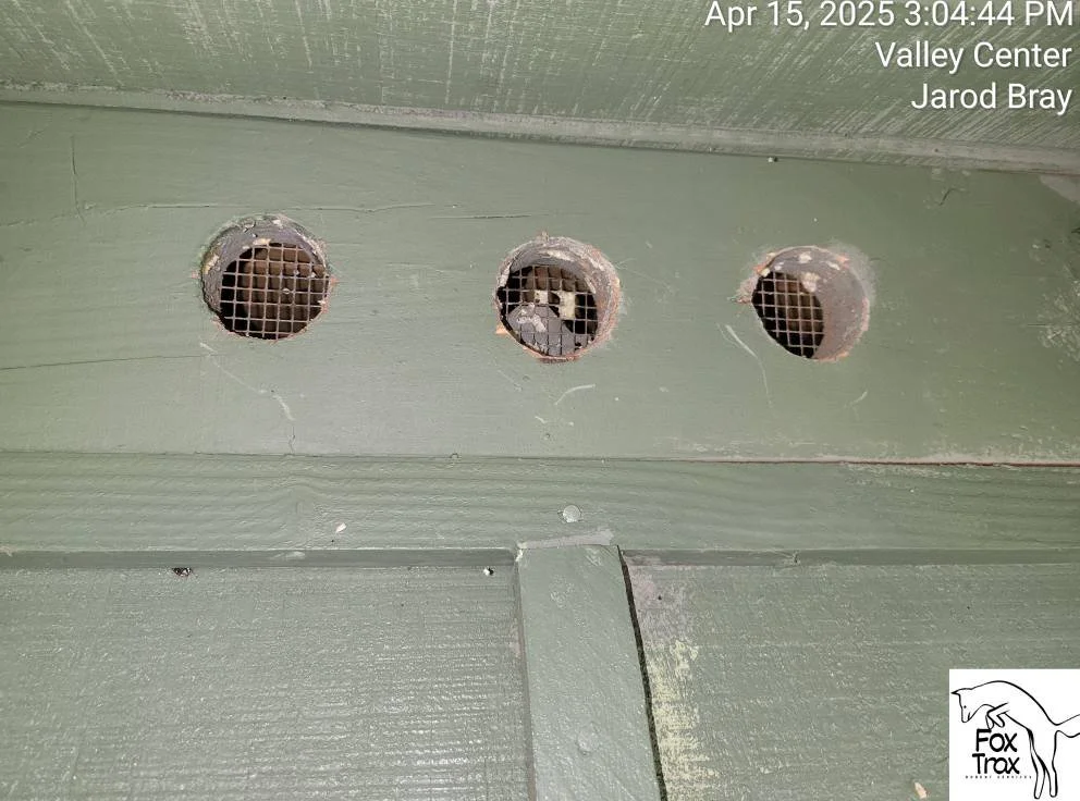 FoxTrax Rodent Services Image 2