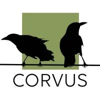 Corvus Consulting