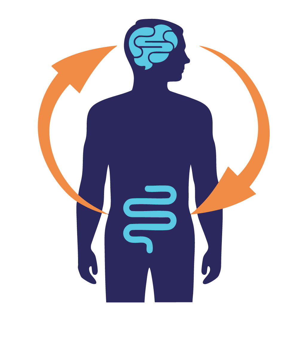 NeuroFiber gut-brain illustration