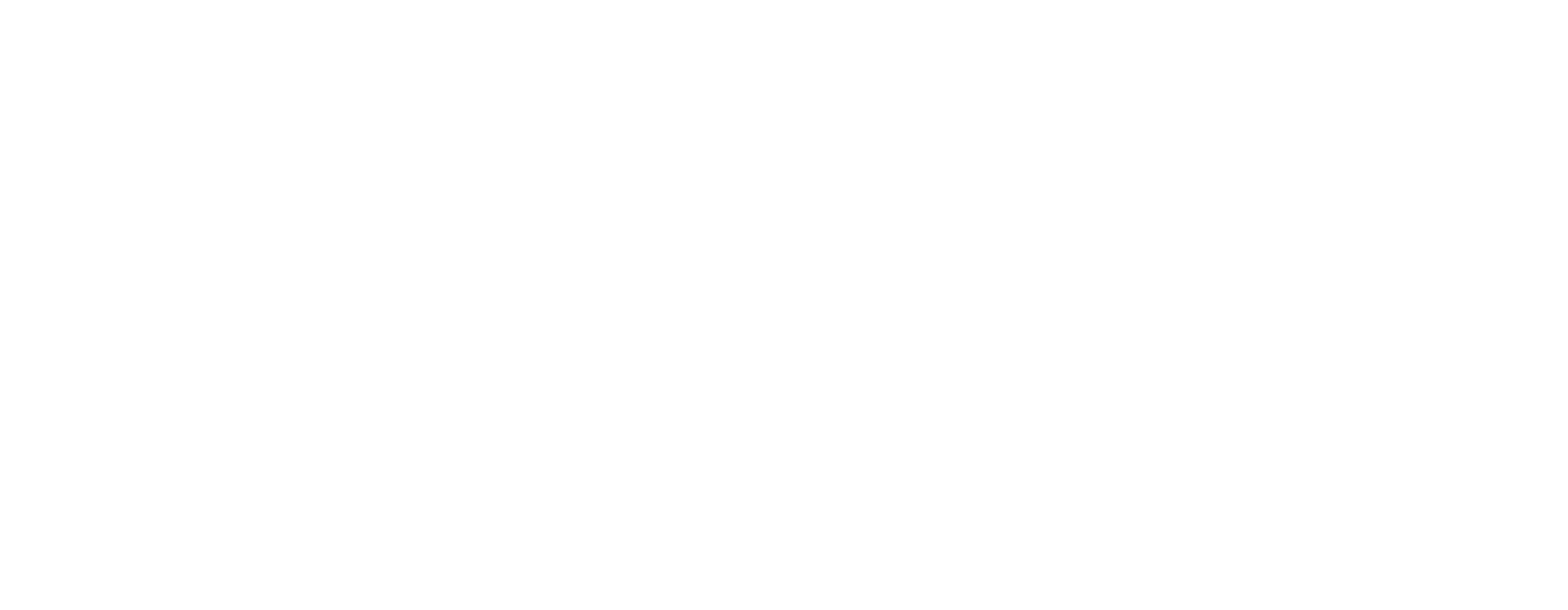 Overlay Logo