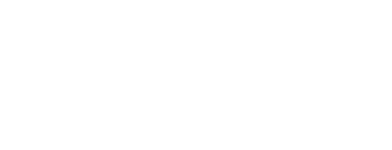 Overlay Logo