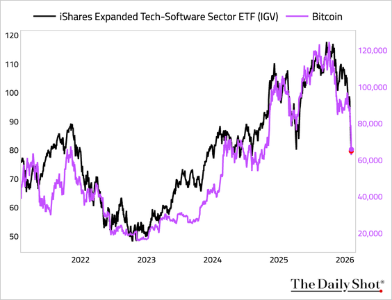Chart showing software and bitcoin performance amid the risk washout