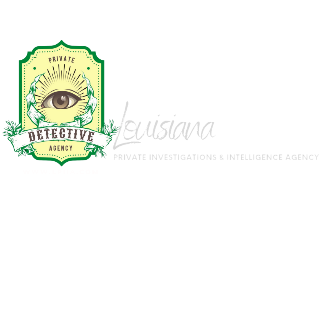 Louisiana Private Investigations & Intelligence Agency