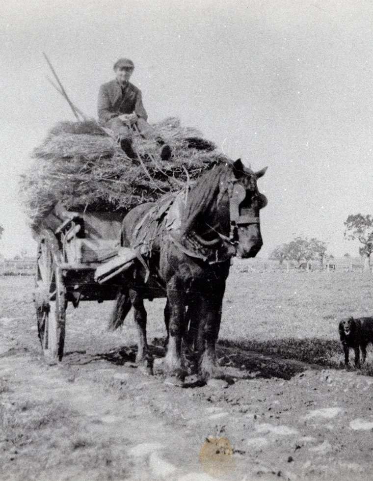 Hay Carting